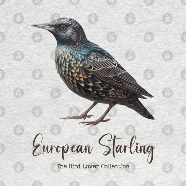 European Starling - The Bird Lover Collection by goodoldvintage